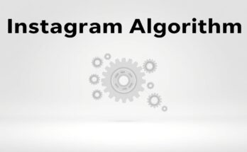 Instagram algorithm for creators